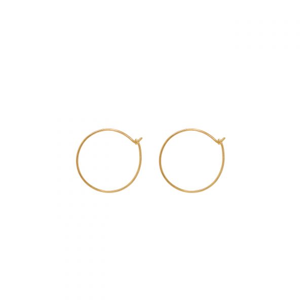 Thin Gold Hoops Small Alveare